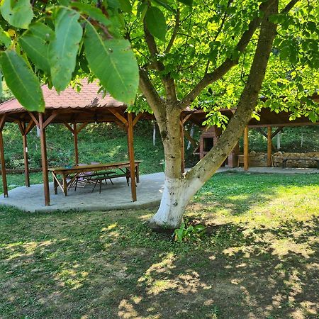 Salas U Bregu In Cheile Carasului Crasova Esterno foto