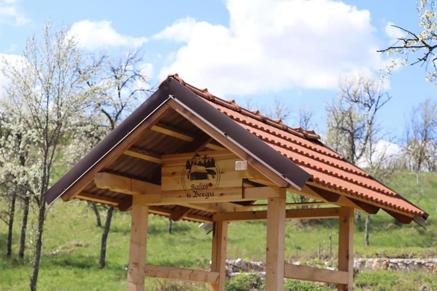Salas U Bregu In Cheile Carasului Crasova Esterno foto