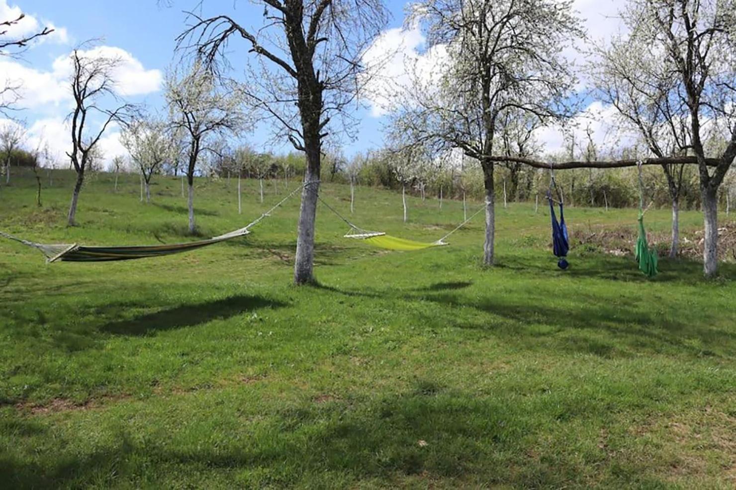 Salas U Bregu In Cheile Carasului Crasova Esterno foto