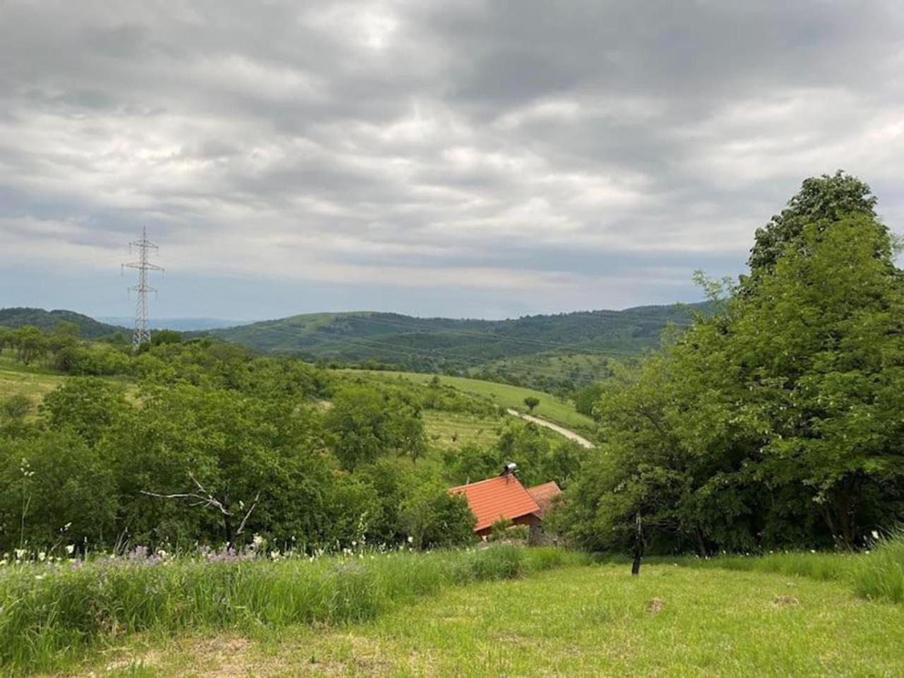 Salas U Bregu In Cheile Carasului Crasova Esterno foto