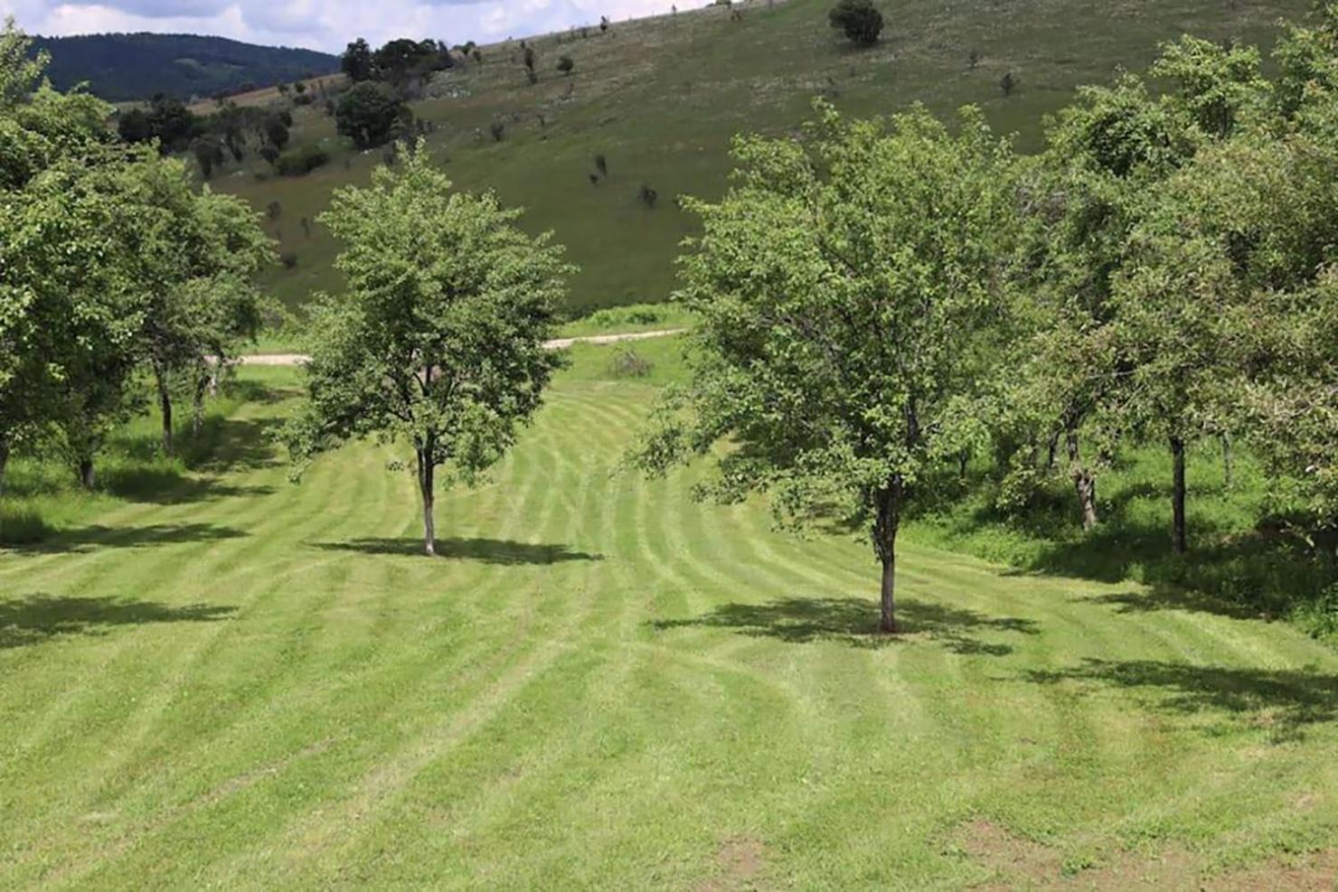 Salas U Bregu In Cheile Carasului Crasova Esterno foto