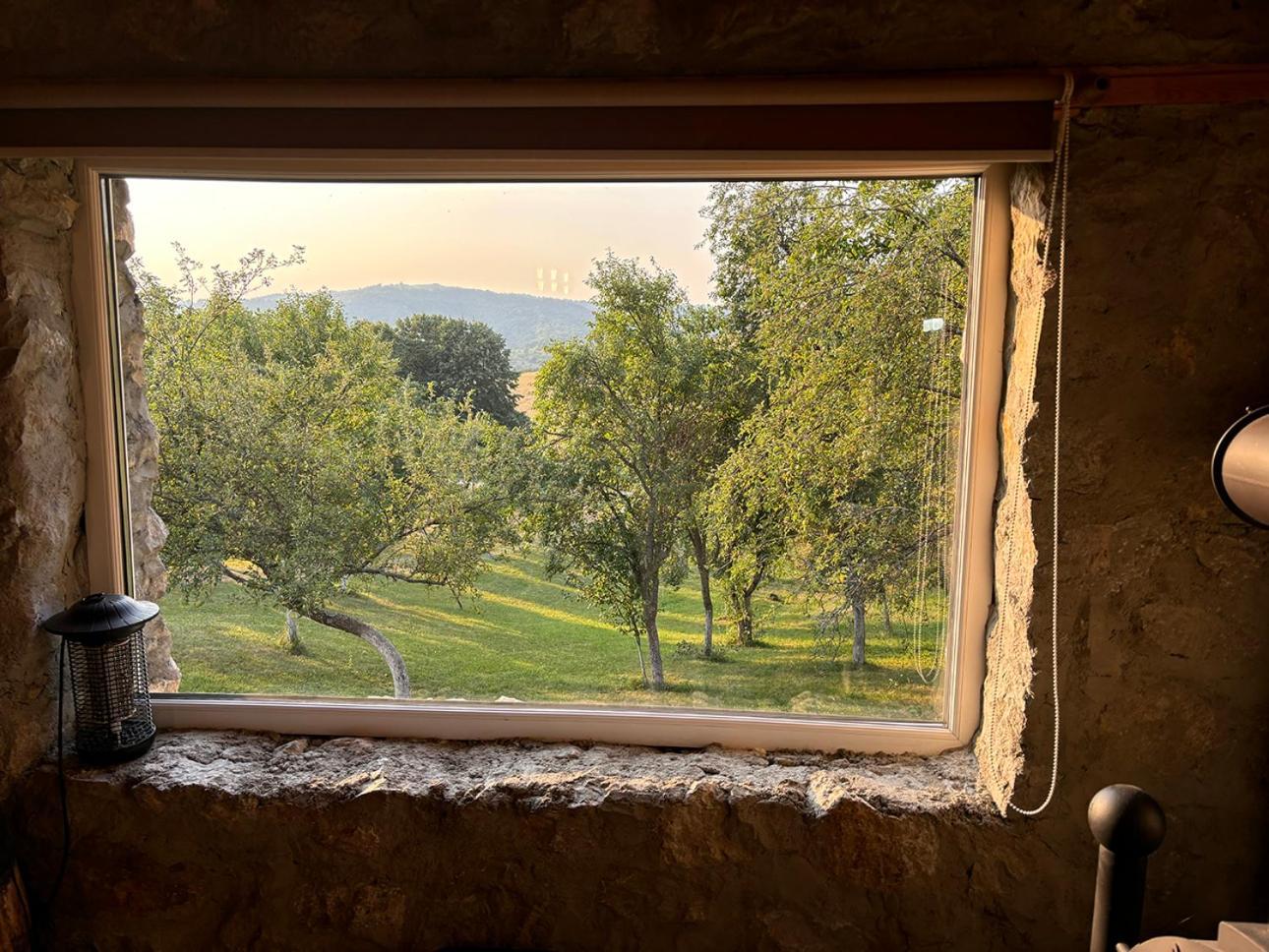 Salas U Bregu In Cheile Carasului Crasova Esterno foto