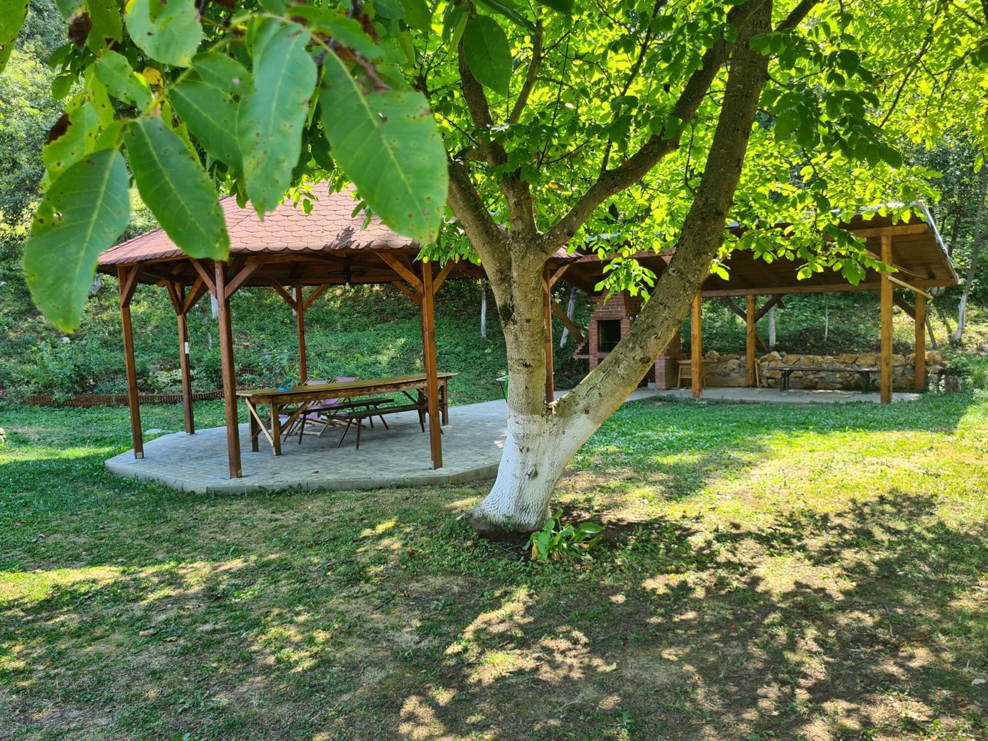 Salas U Bregu In Cheile Carasului Crasova Esterno foto